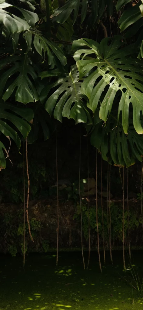 아이폰 14 프로 배경화면 / 갤럭시 s23 울트라 배경화면 / 갤럭시 고화질 배경화면 / 아이폰 고화질 배경화면 / 고화질 폰 배경화면 / 감성 폰 배경화면 25 img 46 24 11zon