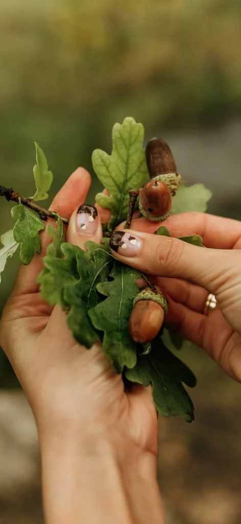 아이폰 고화질 배경화면 / 갤럭시 고화질 배경화면 / 고화질 폰배경화면 / 감성 이미지 배경화면 / 휴대폰 고화질 배경화면 16 아이폰배경 231011 15 15