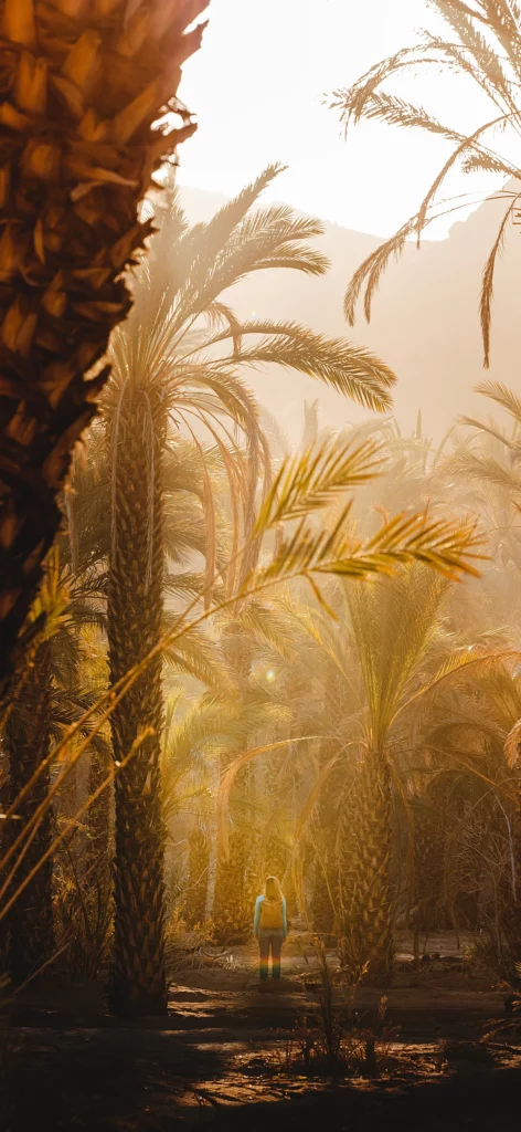 아이폰 고화질 배경화면 / 갤럭시 고화질 배경화면 / 고화질 폰배경화면 / 감성 이미지 배경화면 / 휴대폰 고화질 배경화면 7 아이폰배경 231011 6 6