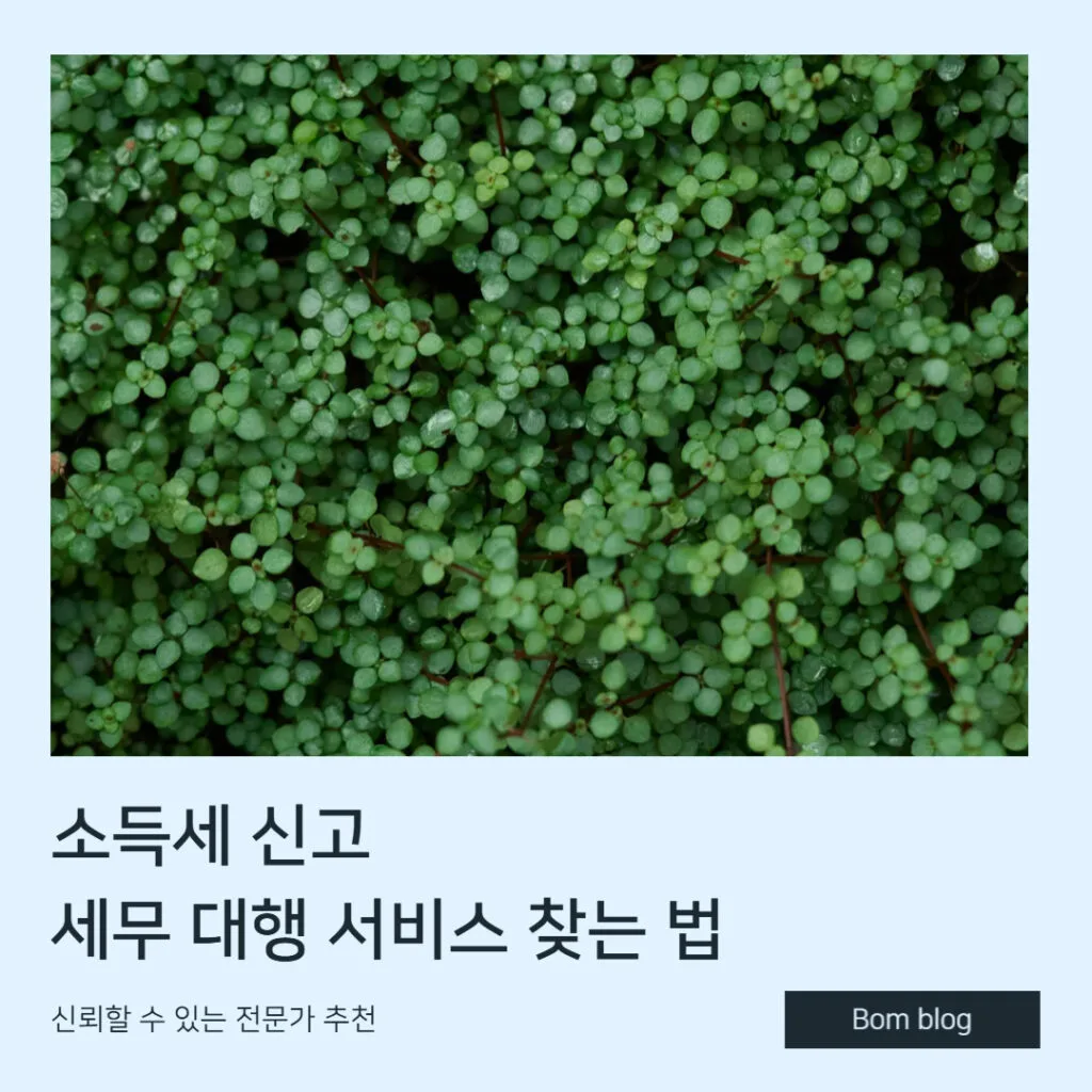 소득세 신고 세무 대행 서비스 찾는 법, 신뢰할 수 있는 전문가 추천 2 소득세신고 전문가 추천