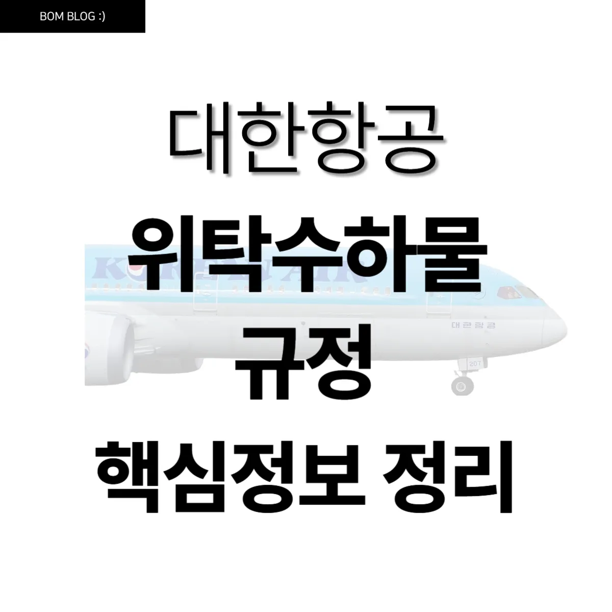 대한항공 위탁수하물 규정 2025년, 무게부터 사이즈까지 꼼꼼히 정리했어요 5 대한항공 위탁수하물 규정 핵심정보 정리