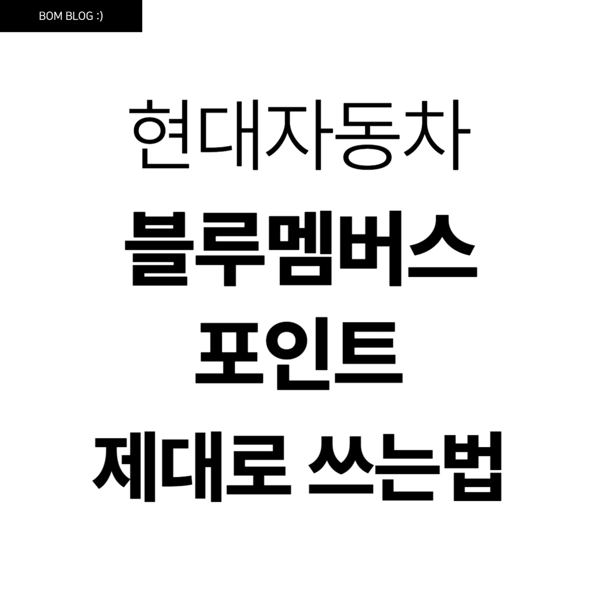 현대자동차 블루멤버스 포인트 제대로 쓰는 법 4 현대자동차 블루멤버스 포인트 제대로 쓰는 법 (1)