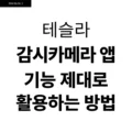 테슬라 감시카메라 앱 기능 제대로 활용하는 방법 6 테슬라 감시카메라 앱 기능 제대로 활용하는 방법