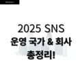 2025 SNS 운영 국가 & 회사 총정리! 2 2025 sns 운영 국가 & 회사 총정리!